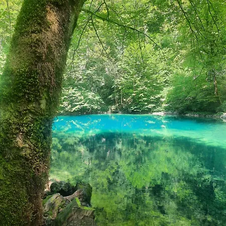 Malnar