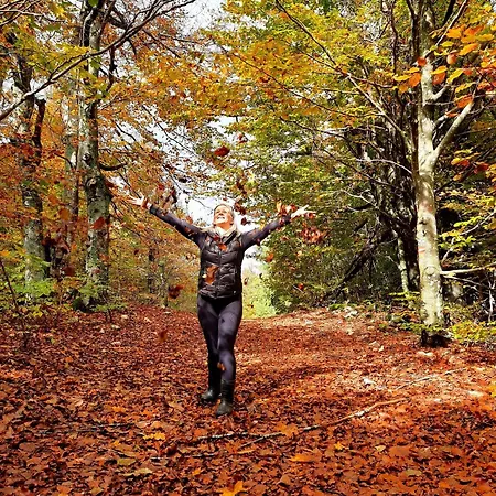 Malnar Apartament Lokve