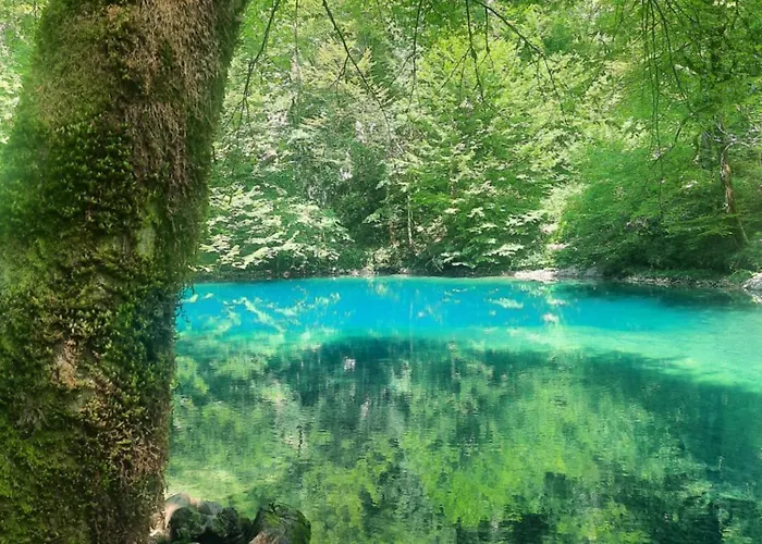 Malnar